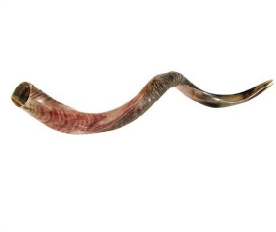 Holy Land Gifts Shofar